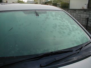 車の霜