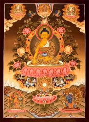 Buddha-Shakyamuni.jpg
