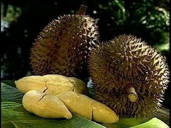 durian.jpg