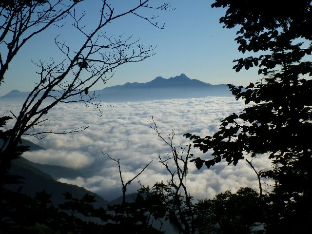 赤薙沢ノ頭に向かう途中雲海に浮かぶ八ヶ岳