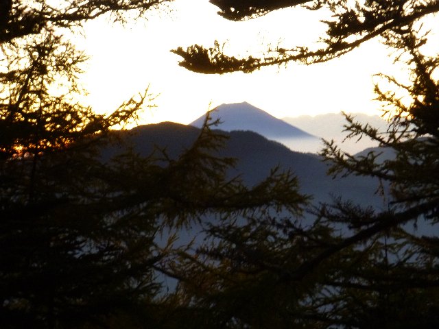 樹間から富士