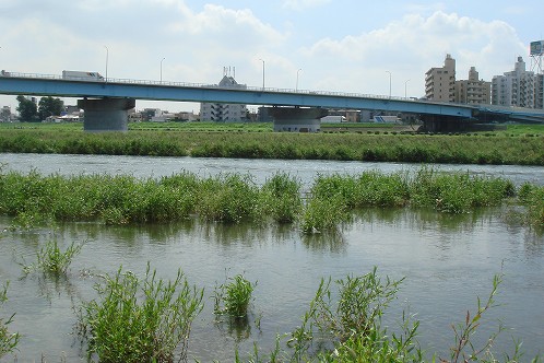 水量が多い多摩川