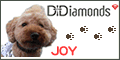 D+Diamonds お店ブログです～♪