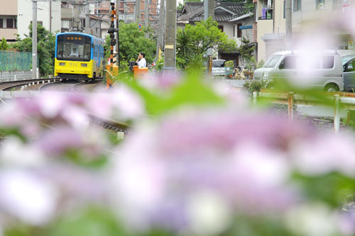 2011/6/11 阪堺電軌阪堺線 聖天坂～天神ノ森
