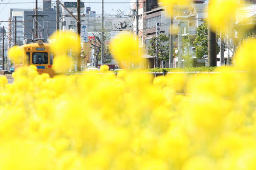 2011/4/5 阪堺電軌阪堺線 綾ノ町～神明町