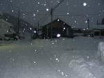 大雪の写真