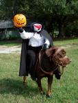 halloween-dog-costume.jpg