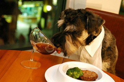 human-dog-wine.jpg