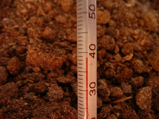 二次発酵開始６日目のボカシ肥料の温度（午前８時）