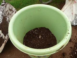 鉢の２割くらいに土を入れる