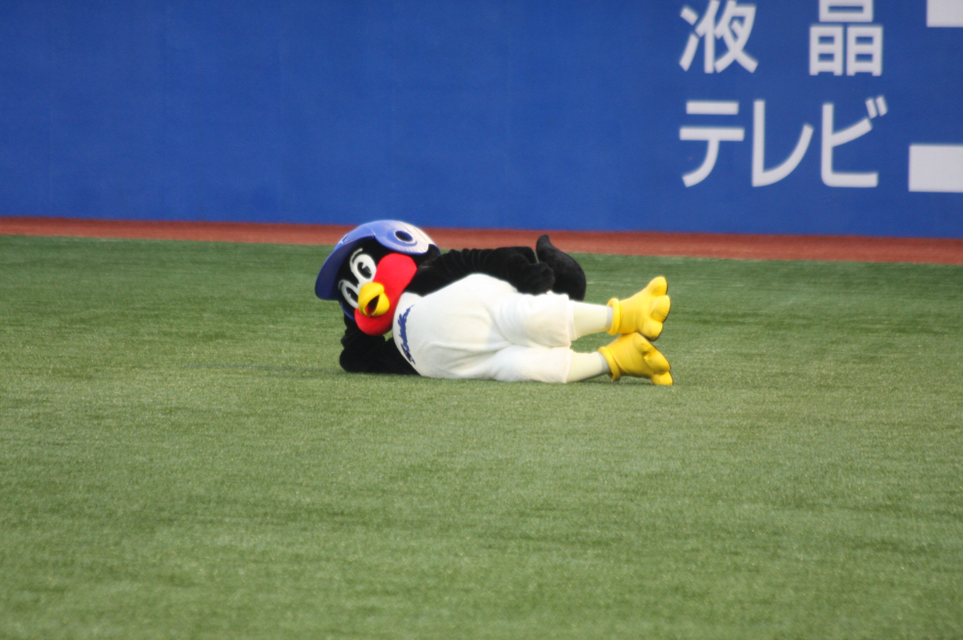 球場で横になっているつば九郎です。