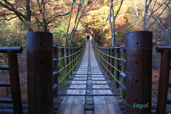 汐見滝吊り橋Angel1