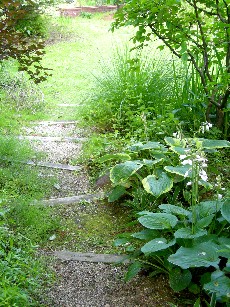ガーデン内の小道