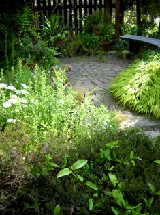 my-garden 043