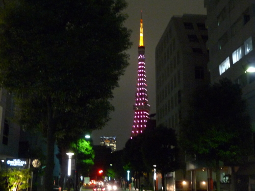 東京タワー2009クリスマスイルミネーション